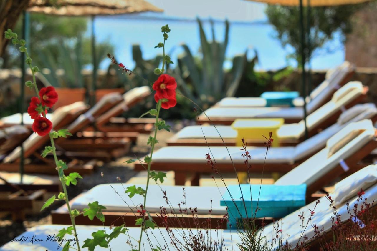 Cunda Lena Otel Ayvalik Bagian luar foto