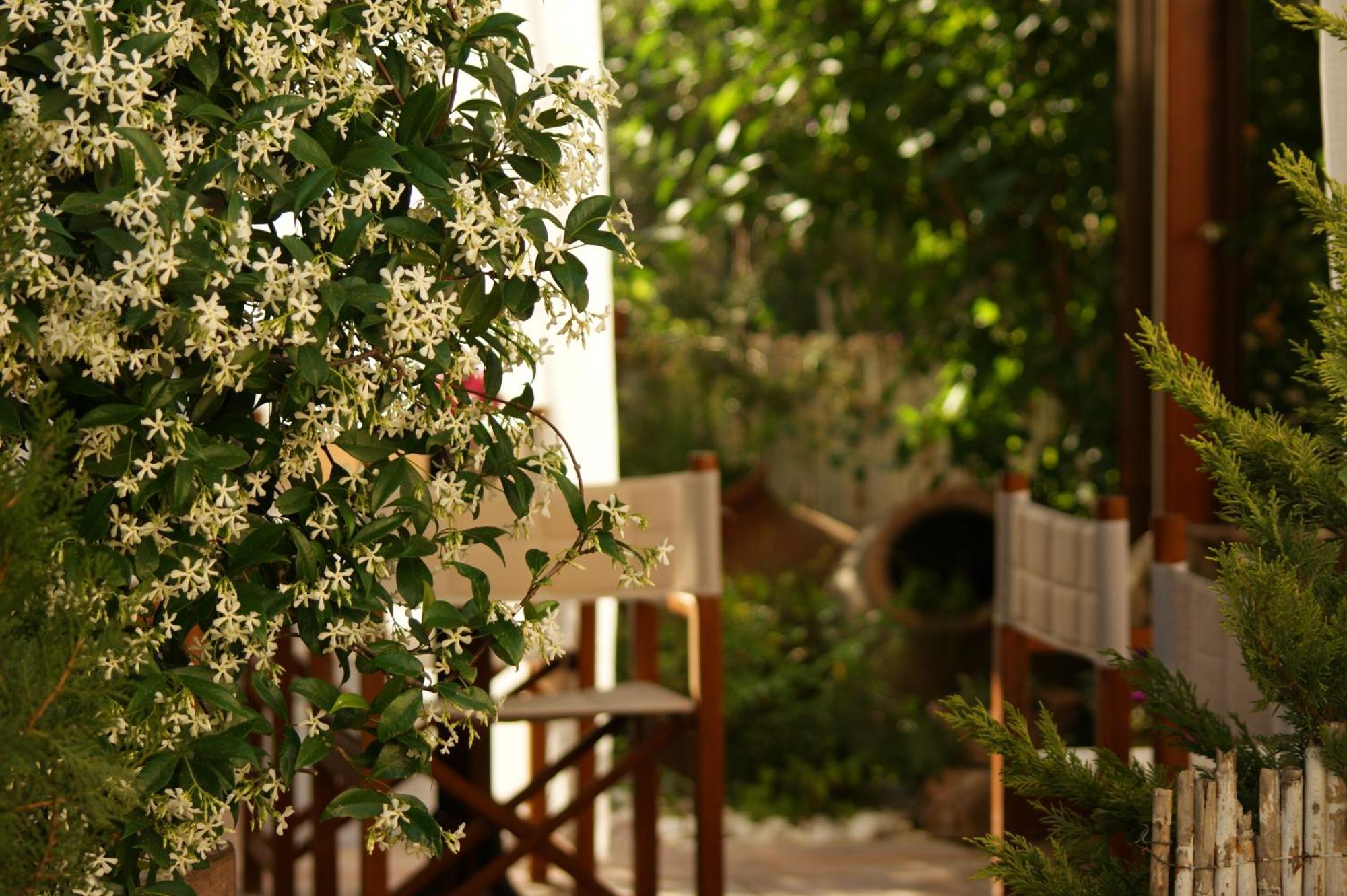 Cunda Lena Otel Ayvalik Bagian luar foto